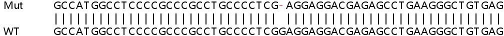 Sanger Sequencing - Human PRKAR1B knockout HeLa cell lysate (AB259062), expandable thumbnail
