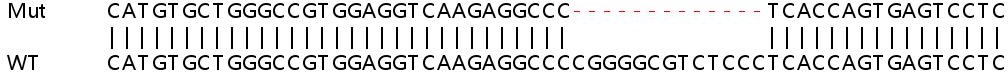 Sanger Sequencing - Human PRKCSH (Glucosidase 2 subunit beta) knockout HEK-293T cell lysate (AB257608), expandable thumbnail