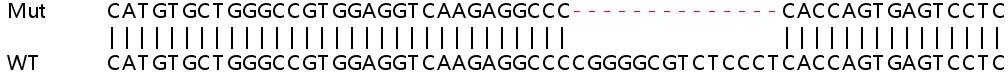 Sanger Sequencing - Human PRKCSH (Glucosidase 2 subunit beta) knockout HEK-293T cell lysate (AB257608), expandable thumbnail