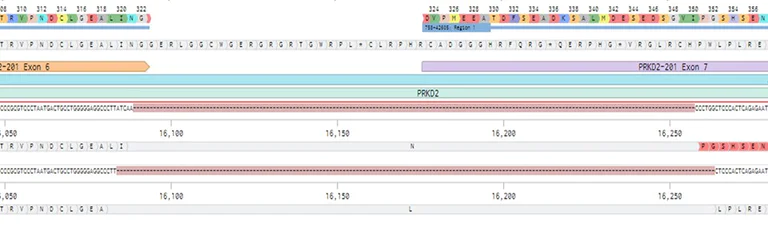 Next Generation Sequencing - Human PRKD2 knockout A549 cell line (AB301181)
