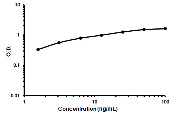 Sandwich ELISA - Human Prostasin ELISA Kit (AB213817)