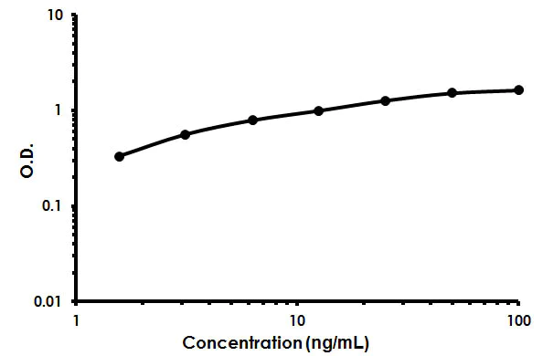 Sandwich ELISA - Human Prostasin ELISA Kit (AB213817)
