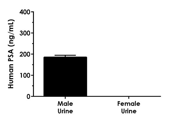 Sandwich ELISA - Human PSA ELISA Kit (AB264615)