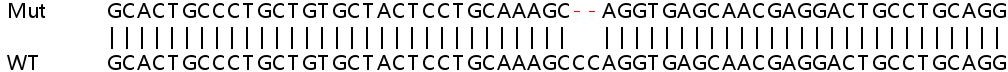 Sanger Sequencing - Human PSCA knockout HeLa cell line (AB264676)