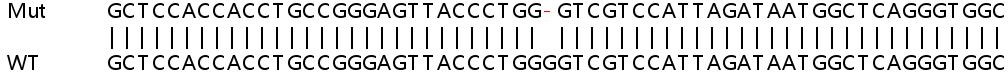 Sanger Sequencing - Human PSEN1 (Presenilin 1/PS-1) knockout HeLa cell line (AB265929), expandable thumbnail