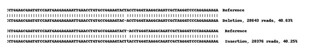 Next Generation Sequencing - Human PSENEN (PEN2) knockout HEK-293 cell lysate (AB273772), expandable thumbnail