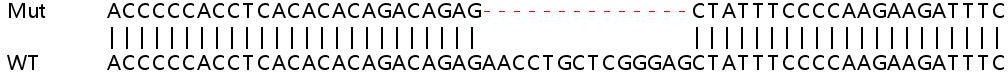 Sanger Sequencing - Human PSME1 knockout HEK-293T cell lysate (AB257613), expandable thumbnail