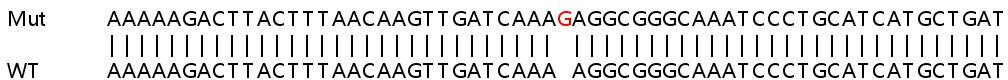 Sanger Sequencing - Human PSME4 (Proteasome Activator Subunit 4) knockout HeLa cell line (AB265661), expandable thumbnail