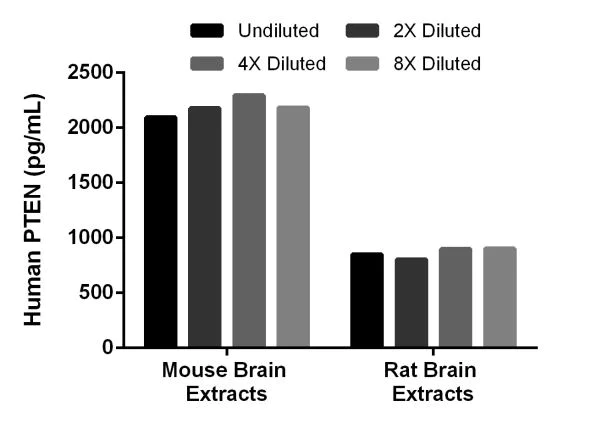 Sandwich ELISA - Human PTEN ELISA Kit (AB206979)