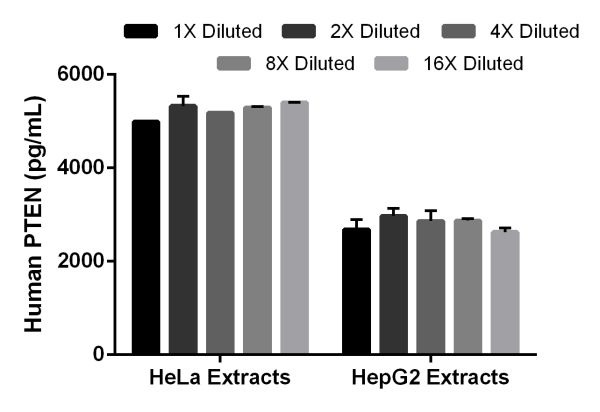 Sandwich ELISA - Human PTEN ELISA Kit (AB206979), expandable thumbnail
