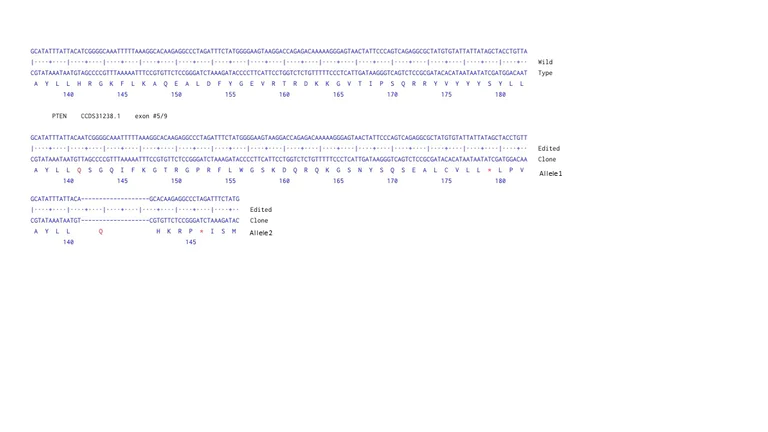 Next Generation Sequencing - Human PTEN knockout A549 cell line (AB286704)