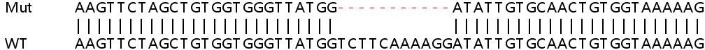 Sanger Sequencing - Human PTEN knockout HeLa cell line (AB255419), expandable thumbnail