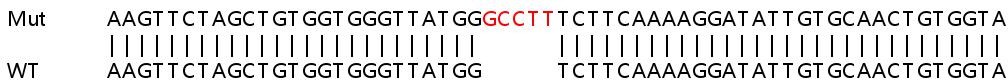 Sanger Sequencing - Human PTEN knockout HeLa cell line (AB255419), expandable thumbnail