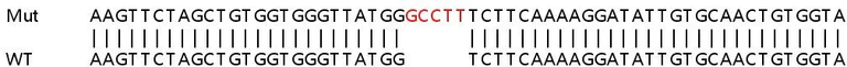 Sanger Sequencing - Human PTEN knockout HeLa cell lysate (AB263829)