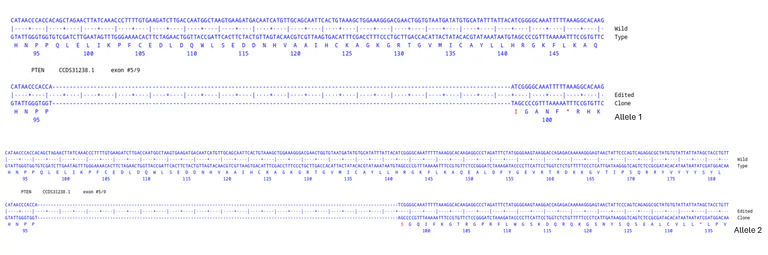 Next Generation Sequencing - Human PTEN knockout VCaP cell line (AB326417)