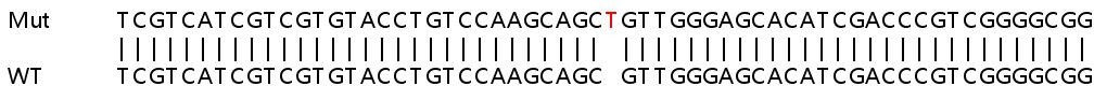 Sanger Sequencing - Human PTGER3 knockout HeLa cell lysate (AB258611), expandable thumbnail