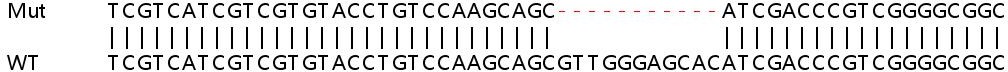 Sanger Sequencing - Human PTGER3 knockout HeLa cell lysate (AB258611), expandable thumbnail