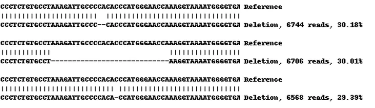 Next Generation Sequencing - Human PTGS1 knockout A-431 cell line (AB270477)