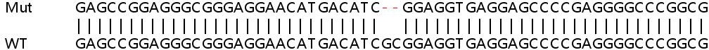 Sanger Sequencing - Human PTPN11 (SHP2) knockout HEK-293T cell line (AB266450), expandable thumbnail