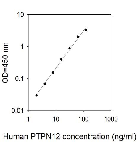 Sandwich ELISA - Human PTPN12 ELISA Kit (AB314375), expandable thumbnail