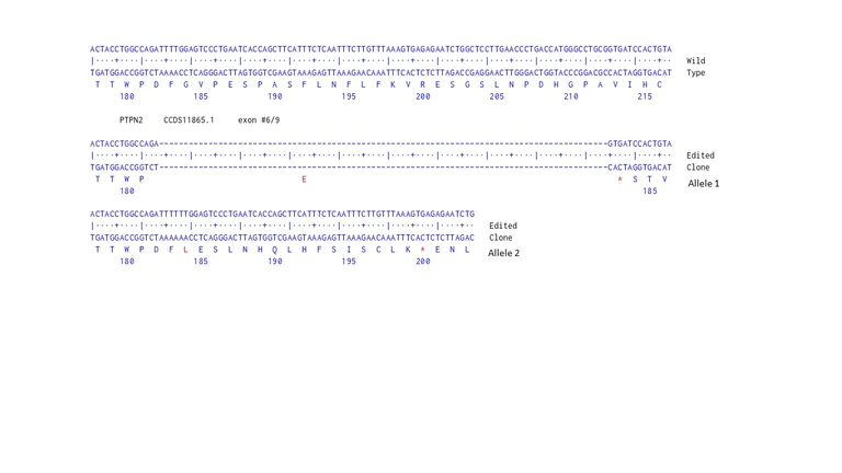 Next Generation Sequencing - Human PTPN2 knockout HCT116 cell line (AB287729)