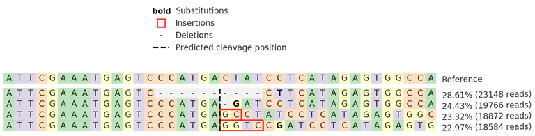 Next Generation Sequencing - Human PTPN2 knockout Jurkat cell line (AB274899)