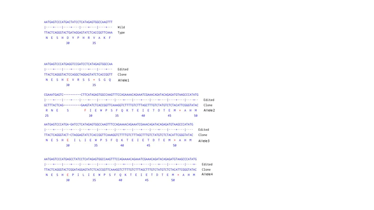 Next Generation Sequencing - Human PTPN2 knockout Jurkat cell line (AB274899)
