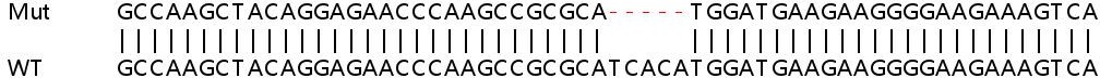 Sanger Sequencing - Human PTPRF (LAR) knockout HEK-293T cell line (AB266585), expandable thumbnail