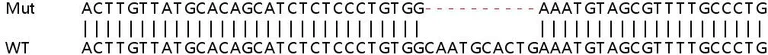 Sanger Sequencing - Human PTPRK knockout A549 cell line (AB266990)