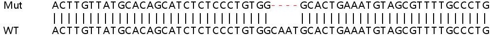 Sanger Sequencing - Human PTPRK knockout A549 cell lysate (AB258155), expandable thumbnail