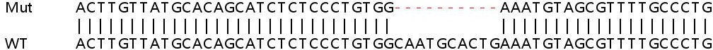 Sanger Sequencing - Human PTPRK knockout A549 cell lysate (AB258155), expandable thumbnail