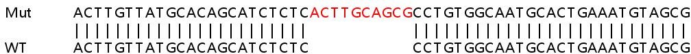 Sanger Sequencing - Human PTPRK knockout A549 cell lysate (AB258156)