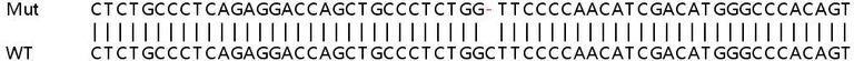 Sanger Sequencing - Human PTPRS knockout HeLa cell line (AB265156)