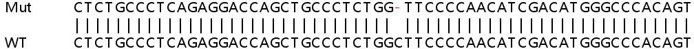 Sanger Sequencing - Human PTPRS knockout HeLa cell lysate (AB263321)