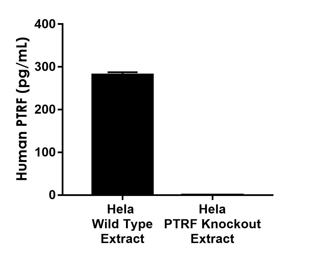 Sandwich ELISA - Human PTRF knockout HeLa cell line (AB265435), expandable thumbnail