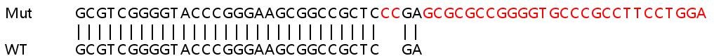 Sanger Sequencing - Human PTRF knockout HeLa cell line (AB265435), expandable thumbnail