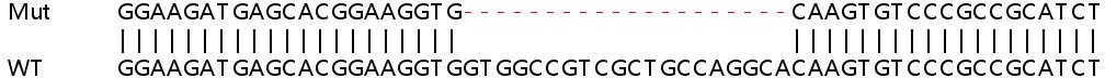 Sanger Sequencing - Human PTS (PTPS) knockout HeLa cell lysate (AB263322), expandable thumbnail