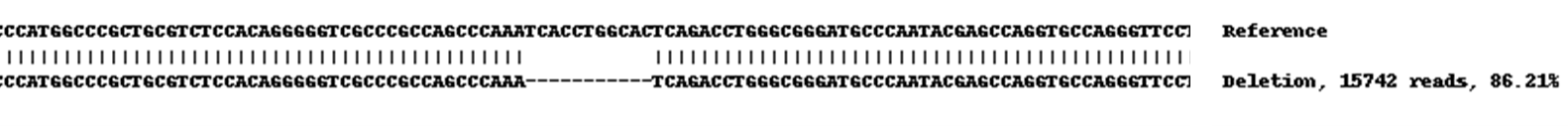 Next Generation Sequencing - Human PVR (Poliovirus Receptor) knockout A549 cell lysate (AB261686), expandable thumbnail