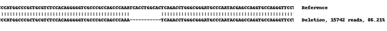 Next Generation Sequencing - Human PVR (Poliovirus Receptor) knockout A549 cell lysate (AB261686)