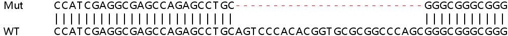 Sanger Sequencing - Human PXK knockout HEK-293T cell line (AB267241)