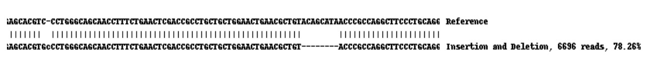 Next Generation Sequencing - Human PXN (Paxillin) knockout A-431 cell line (AB261892), expandable thumbnail