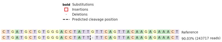 Human QKI knockout U-2 OS cell line