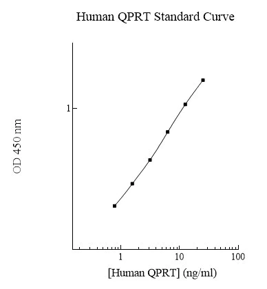 Sandwich ELISA - Human QPRT ELISA Kit (AB284020)
