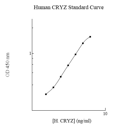 Sandwich ELISA - Human Quinine oxidoreductase ELISA Kit (AB283971)