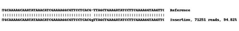 Next Generation Sequencing - Human RAB10 knockout A549 cell line (AB261868)