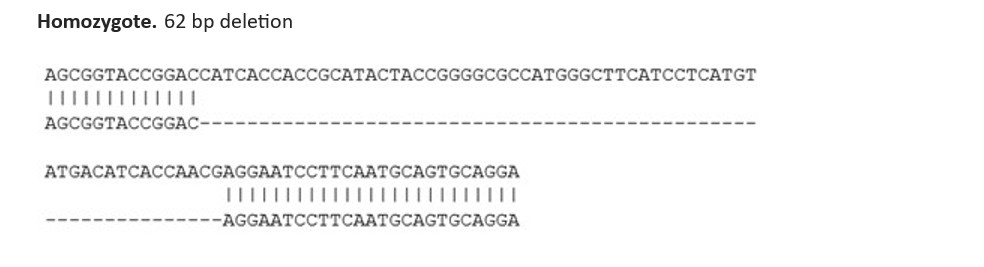 Sanger Sequencing - Human RAB3A knockout SK-N-FI cell line (AB288708), expandable thumbnail