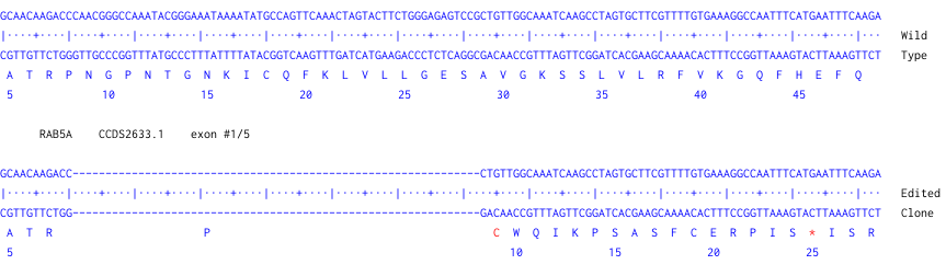 Next Generation Sequencing - Human RAB5A knockout A549  cell line (AB301197), expandable thumbnail