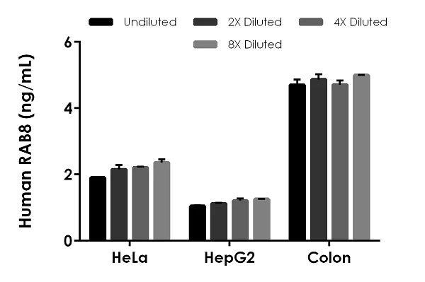 Sandwich ELISA - Human RAB8 ELISA Kit (AB255718)