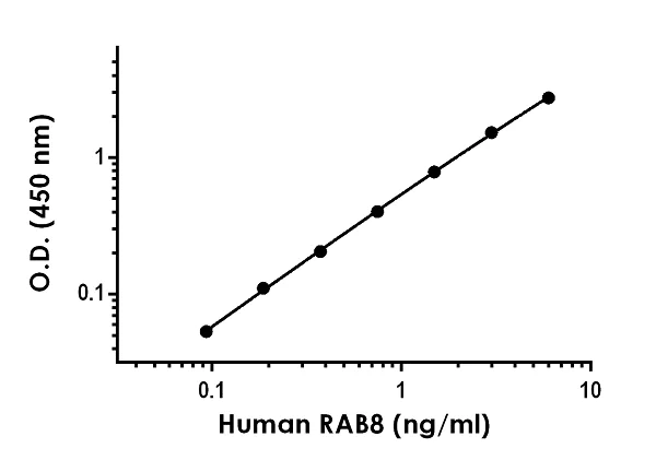 Sandwich ELISA - Human RAB8 ELISA Kit (AB255718)