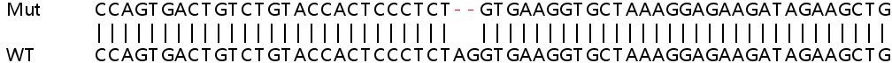 Sanger Sequencing - Human RAD23A (hHR23A) knockout HEK-293T cell line (AB266343), expandable thumbnail